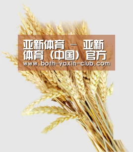 亚新体育 - 亚新体育（中国）官方网站-YAXINTIYU