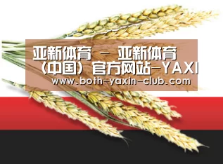 亚新体育 - 亚新体育（中国）官方网站-YAXINTIYU