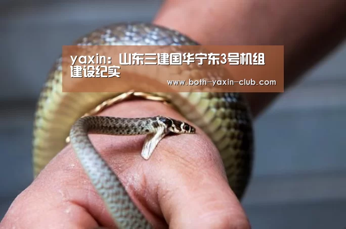 亚新体育