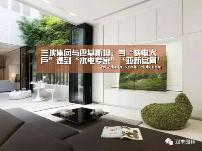 三峡集团与巴基斯坦：当“缺电大户”遇到“水电专家”‘亚新官网’(图1)
